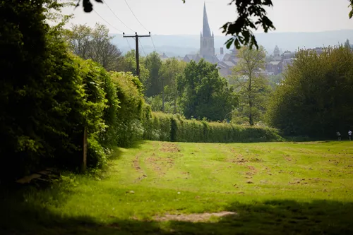 Tapton park hedge This landscape photograph features Tapton Park hedge in Chesterfield on a spring afternoon. The scene captures the lush green hedge running alongside a grassy area, which is surrounded by dense foliage. In the distance, the iconic spire of Chesterfield's famous church rises above the town, clearly visible through the trees. Tapton Park forms the foreground of the image, while the well-known Chesterfield spire serves as a prominent landmark in the background, creating a picturesque balance of natural and built environments.